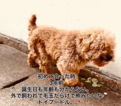 3年前のイオくん1