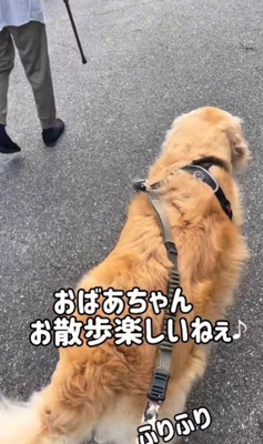 「お散歩は楽しいね」