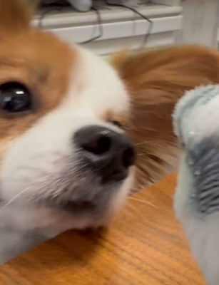 目をキラキラさせて会話