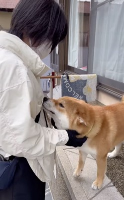 優しく撫でられてご満悦