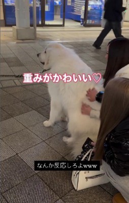 シレッとしてる…(笑)