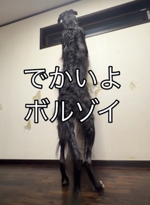 まるで人間のような後ろ姿