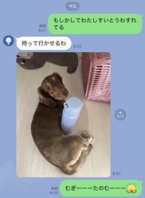 Mダックス