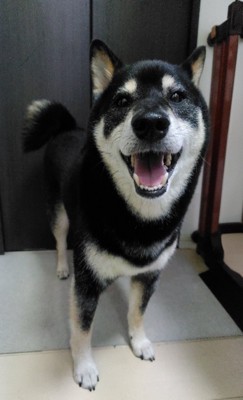 笑顔
