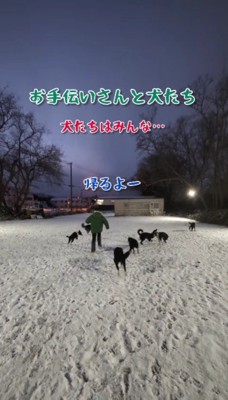 帰るときも鶴の一声！！