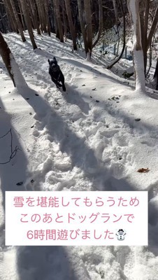 6時間も雪遊びしたそう