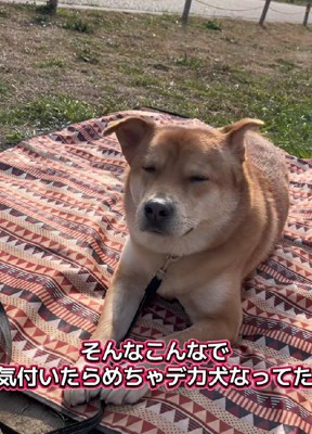 お母さんにそっくり！