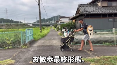 パパの修行かな?