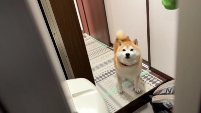 家族が帰宅したら…