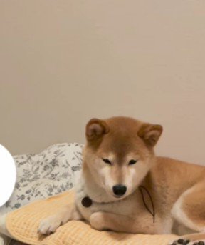 気持ちよさそうだけど…