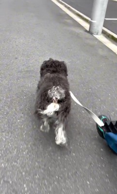 綱吉くんを止める方法3