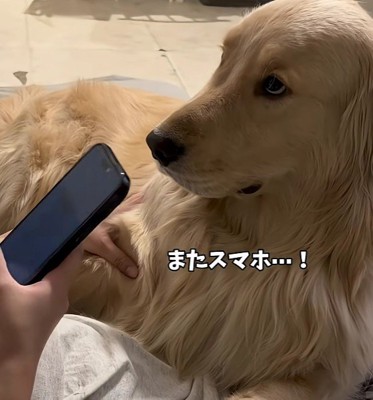 「またスマホ…!」