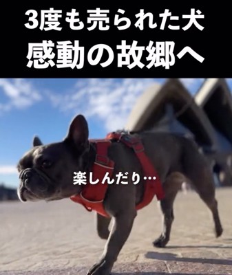 充実した旅になりました