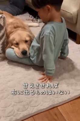 男の子に甘えるエルくん