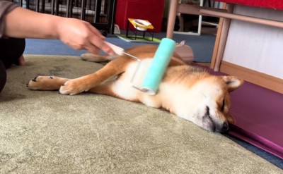 コロコロで体をマッサージ