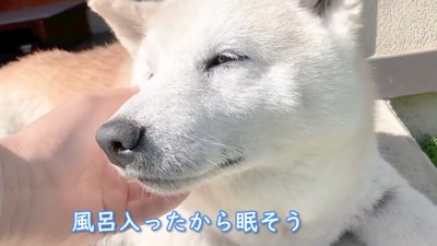 お日様ポカポカ気持ちいいね