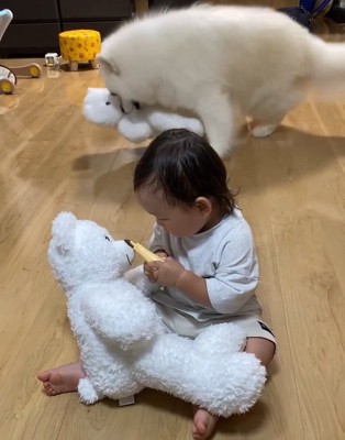 仕留めにかかるこはくちゃん