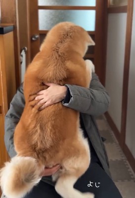 抱っこをせがむおはるちゃん