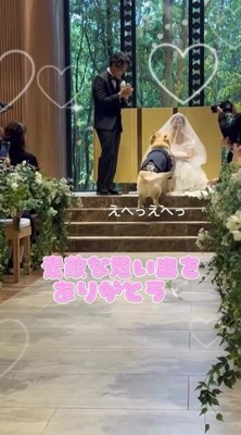 花嫁に撫でられる犬
