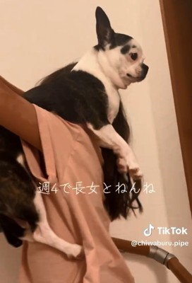 虚無顔のピペちゃん