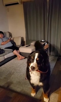 お姉ちゃんが帰省した時の眞秋くん5