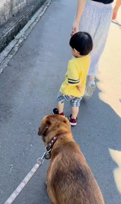 男の子を守る咲太郎くん2