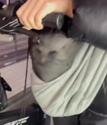 横に引き延ばされている…