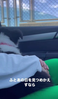 夫婦ともに胸を打たれた