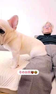 エルモくんとおばあちゃんの日常3