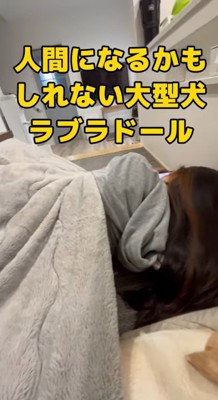 こたつで寝る女性