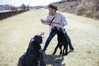 すれ違う人に飛びつこうとする犬