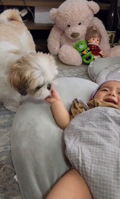 赤ちゃんが大好きなピコちゃん⑩