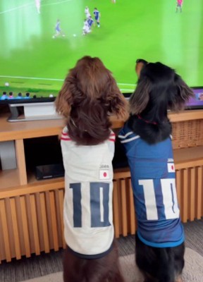 並んで試合を見つめていた