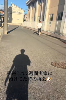 歩いてくるサニーくん