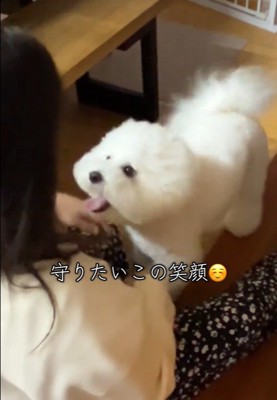 RAUくんの熱烈大歓迎8