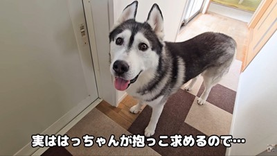 「抱っこして♡」