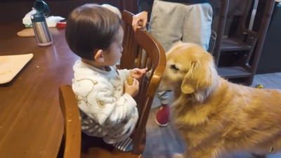 クッキーをもらうジョイくん