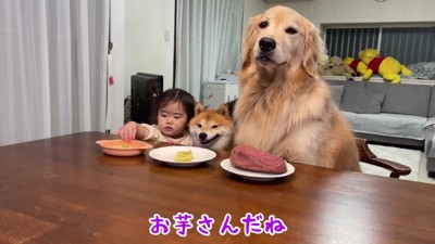 まだかな、まだかな～