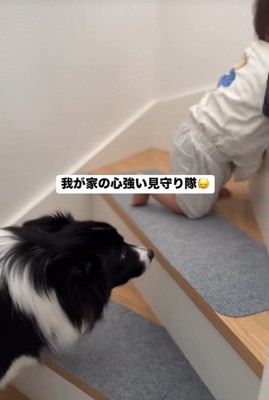 赤ちゃんを見守るヒマちゃん4