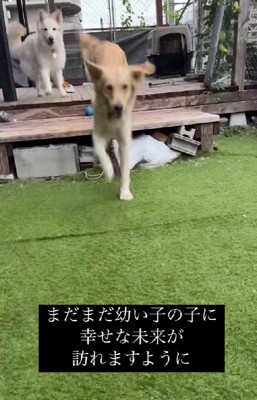 楽しそうな姿にほっこり