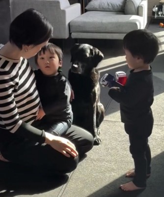 お座りしている犬