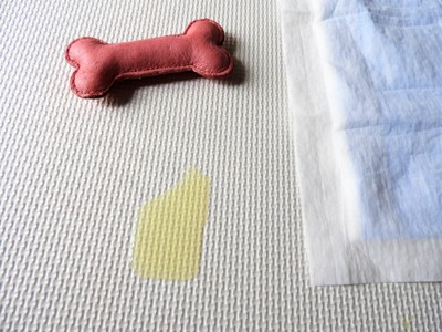 トイレシーツからはみ出たおしっこ