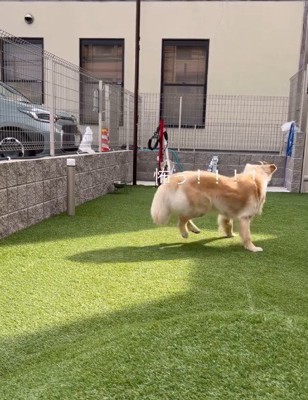 近づくとへっぴり腰に！