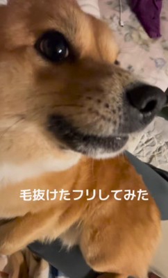 「いい加減にしろよ…！」