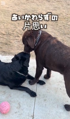 大好きなお友達