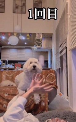 ボールをキャッチする人