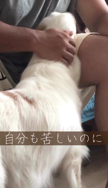 自分も咳が止まらない