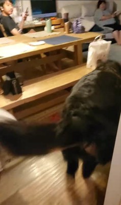 お姉ちゃんが帰省した時の眞秋くん2