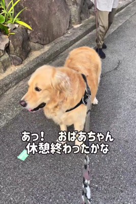 「休憩終わったみたい」