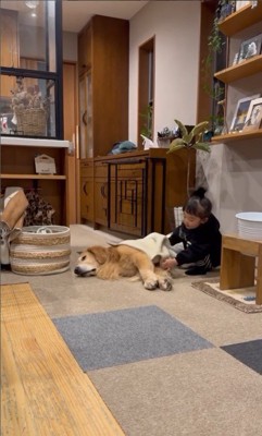 たお君を寝かしつける女の子7